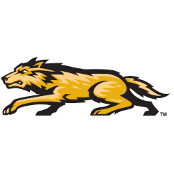 Wright State Raiders Alternate Logo 1997 - 2013